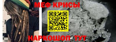 индика Кингисепп
