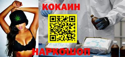 индика Кингисепп