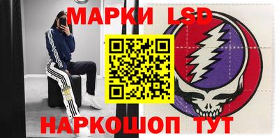 индика Кингисепп