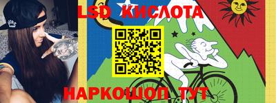 индика Кингисепп