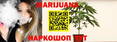 индика Кингисепп