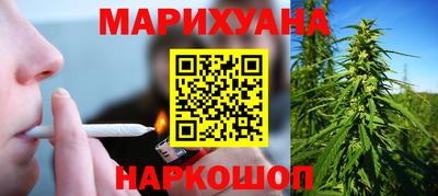 сатива Кимры