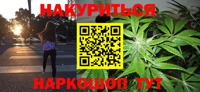 сатива Кимры