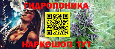 спайс Кинель