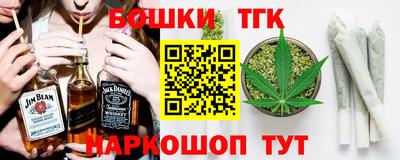 индика Кингисепп