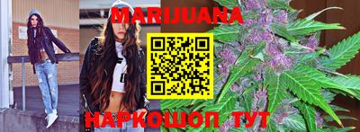 индика Кингисепп