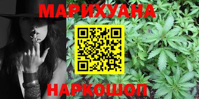индика Кингисепп