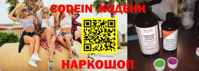 индика Кингисепп