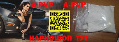 индика Кингисепп