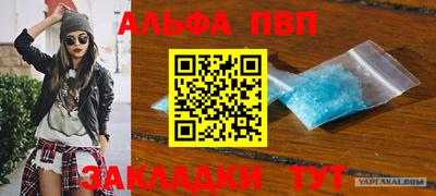 индика Кингисепп