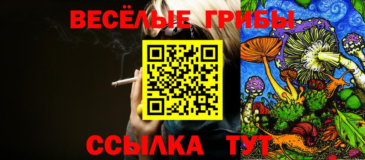 Галлюциногенные грибы ЛСД Краснокаменск