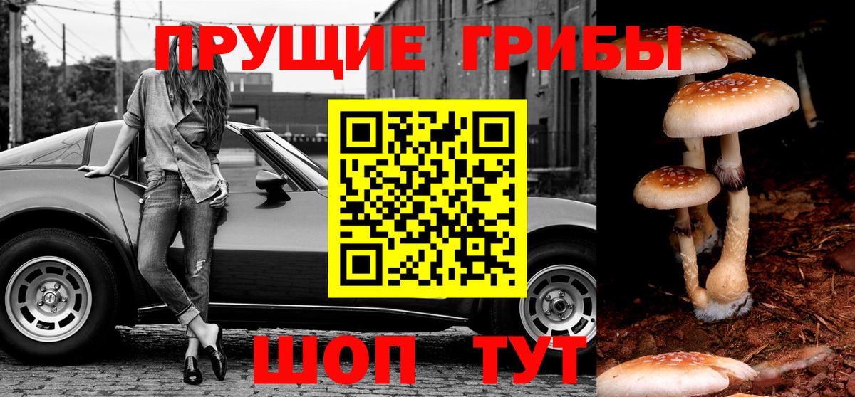 Галлюциногенные грибы прущие грибы  Вход с VPN  где купить   Псилоцибиновые грибы Psilocybe  Краснокаменск 